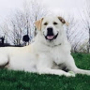 Meet your Posher, Bridget